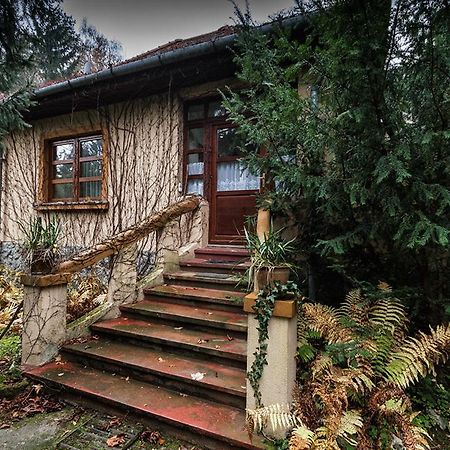 Boroka Apartmanhazak - Oereghaz Velem Zimmer foto