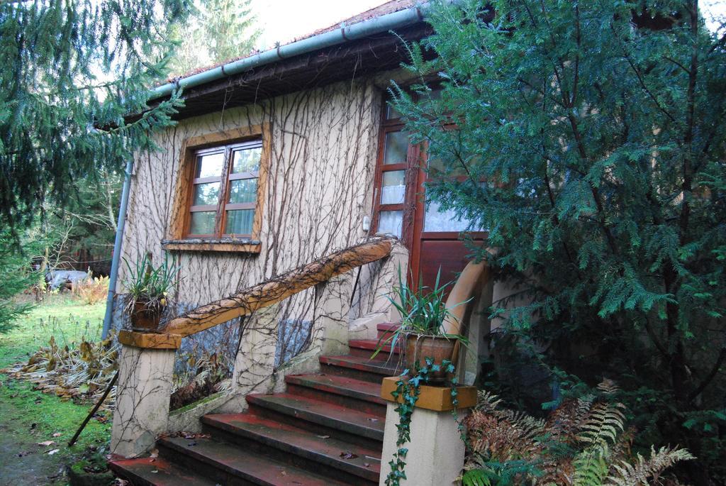 Boroka Apartmanhazak - Oereghaz Velem Zimmer foto