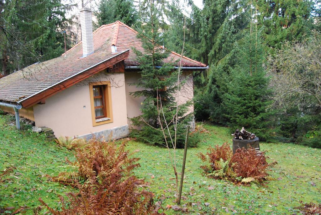 Boroka Apartmanhazak - Oereghaz Velem Zimmer foto
